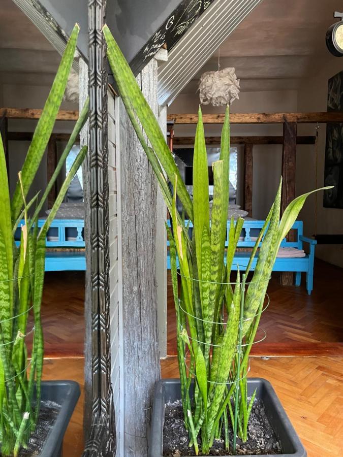 Apartamente A La Cluj Esterno foto